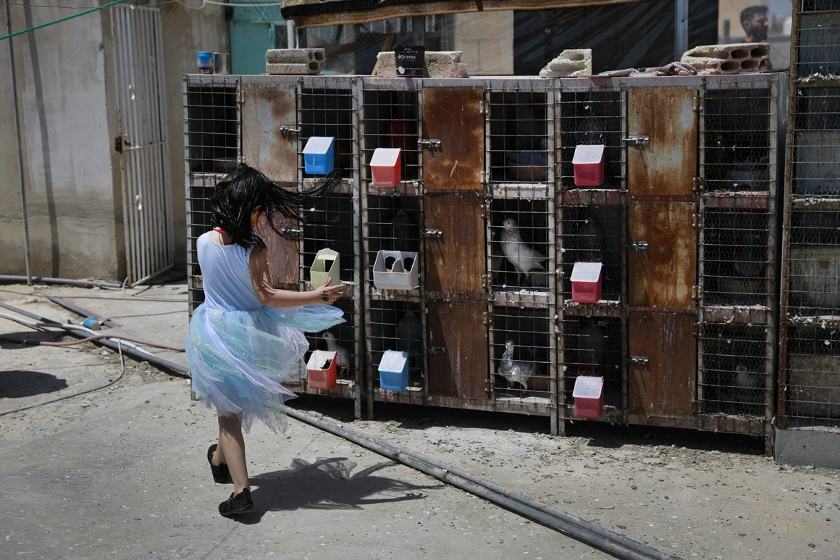 Lama Rweishdeh, 4, visits her grandparents Marwan Aktaa, 60, and his Yusra Oudeh, 59, refugees from Homs, Syria, often – she lives nearby in Amman. 

Her grandparents’ landlord keeps pigeons on the roof terrace outside their flat, which her grandfather, Marwan, helps look after, in exchange for a rent reduction.  He used to look after pigeons in Syria and loves being with them: feeding them, letting them in and out of their cages and communicating with them (his wife says he speaks bird).  Lama also loves being with the pigeons, and with her grandfather, on the roof top. 

Marwan and Yusra came to Jordan in 2013 with their six chldren, arriving in Zaatari camp where they spent one day before moving to Amman. 

Five of the six children are now married and live in Jordan, Turkey and Lebanon. Only the youngest, Mohammad Aktaa, 22, still lives with his parents. Mohammad dropped out of school once he arrived in Jordan; he occasionally works at a bakery. 



Marwan used to be a plumber in Syria, but now, due to his age and his medical condition (slipped disc), he has stopped working. Marwan has his sisters in Syria, but he has two siblings in Jordan. 

The family stopped receiving monthly cash assistance and never received food vouchers. The family was identified by the resettlement unit as being eligible to be relocated to a third country; if this is confirmed, it is likely to be Norway, Canada or the USA.